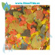 Akuavida Flakes Premium Tropicales 200 Grs A Granel