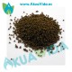 Aquarium Munster Biofish Food Regular L 100 Gr Dr. Bassleer