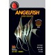 Discusfood Angel Fish Supergrowth 80 grs
