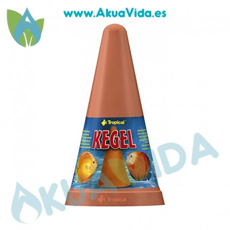 Tropical Cono - Ponedero Disco Kegel