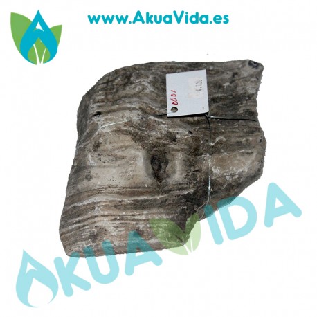 Roca Elephant Luohan Medida Aprox. 16 x 16 x 5 cm