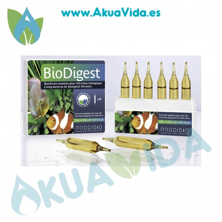 Prodibio BioDigest Ampolla